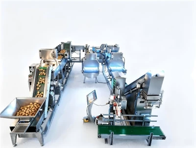 Patates Tohumu Test Üretim Hattı